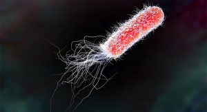 Types (Infections and intoxications): Food Borne Disease 6 Types (Infections and intoxications): Food Borne Disease 6