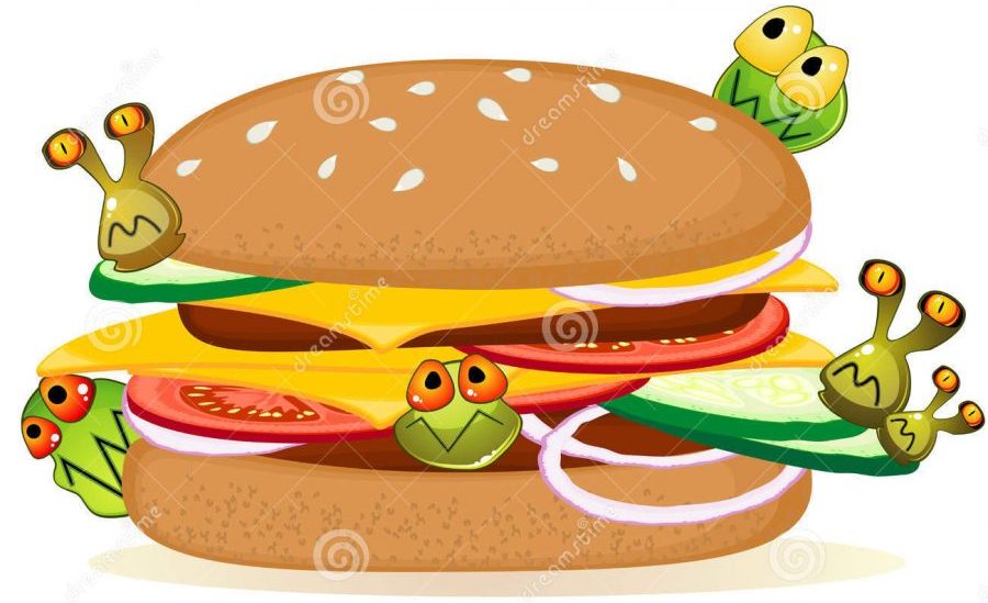Types of Food Contaminants (Pesticide residues, bacterial toxins mycotoxins, seafood toxins, metallic contaminants, residues from packaging material)