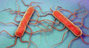 Types (Infections and intoxications): Food Borne Disease 8 Types (Infections and intoxications): Food Borne Disease 8