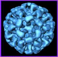 Types (Infections and intoxications): Food Borne Disease 9 Types (Infections and intoxications): Food Borne Disease 9