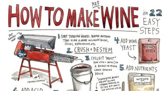 Manufacturing of Wines