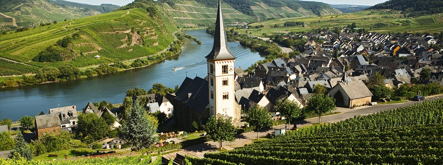 Old World Wines- Germany
