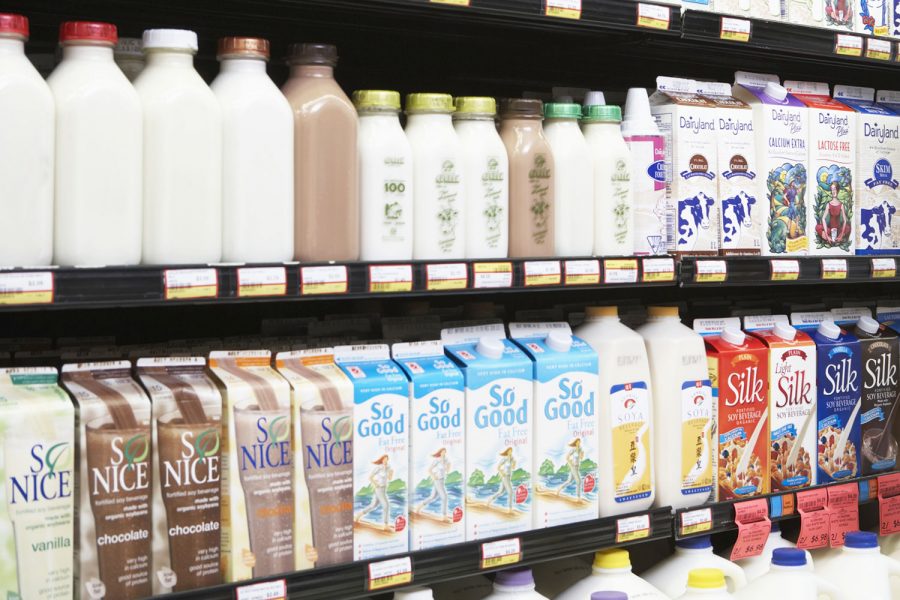Types of Milk – Skimmed and Condensed