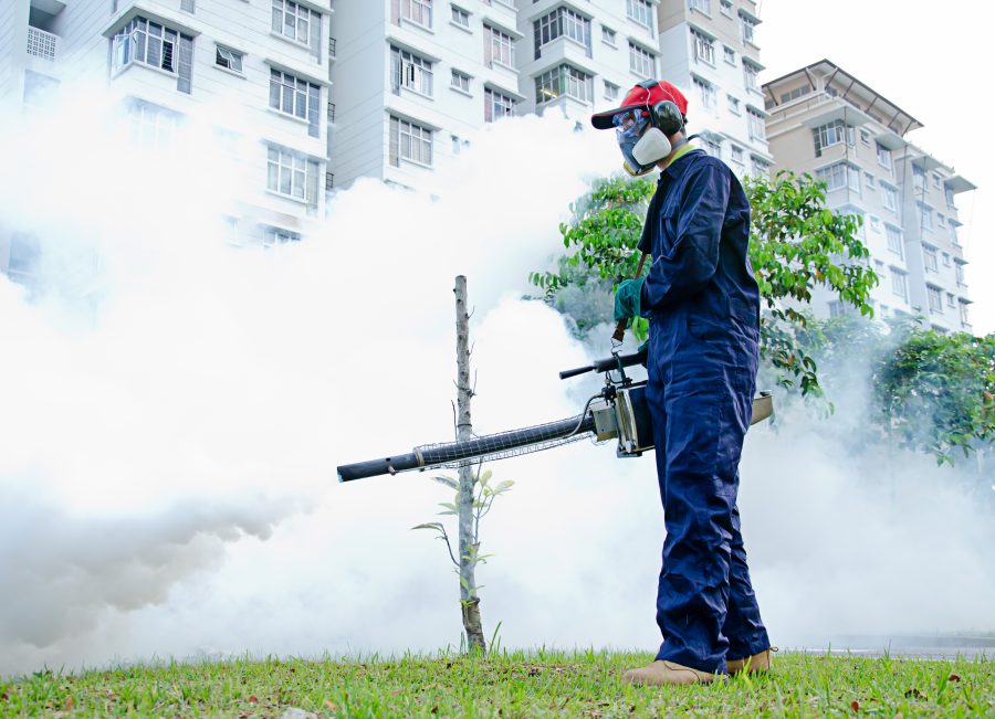 Pest Control Introduction