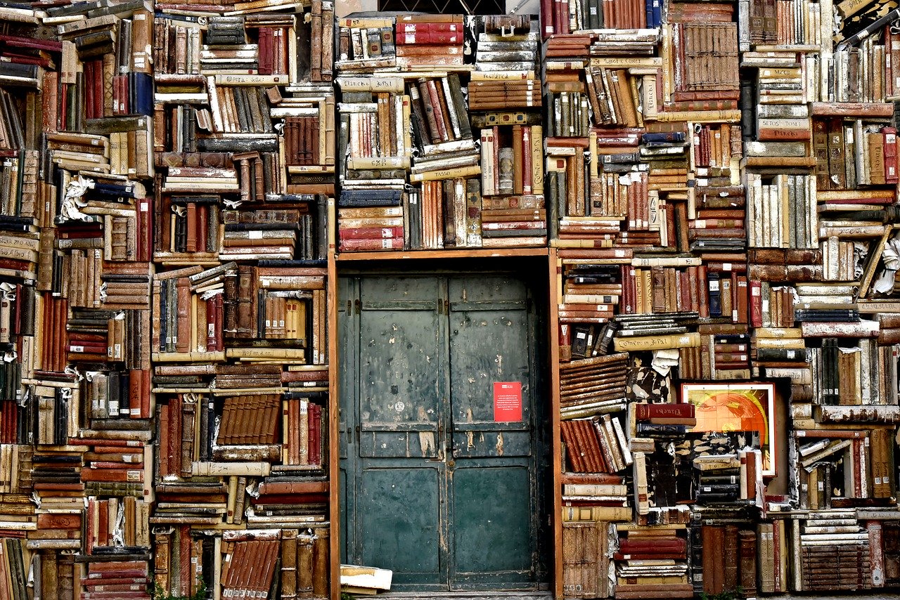 Subsidiary Books its Need and Uses