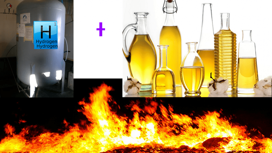 Refining, Hydrogenation & winterisation