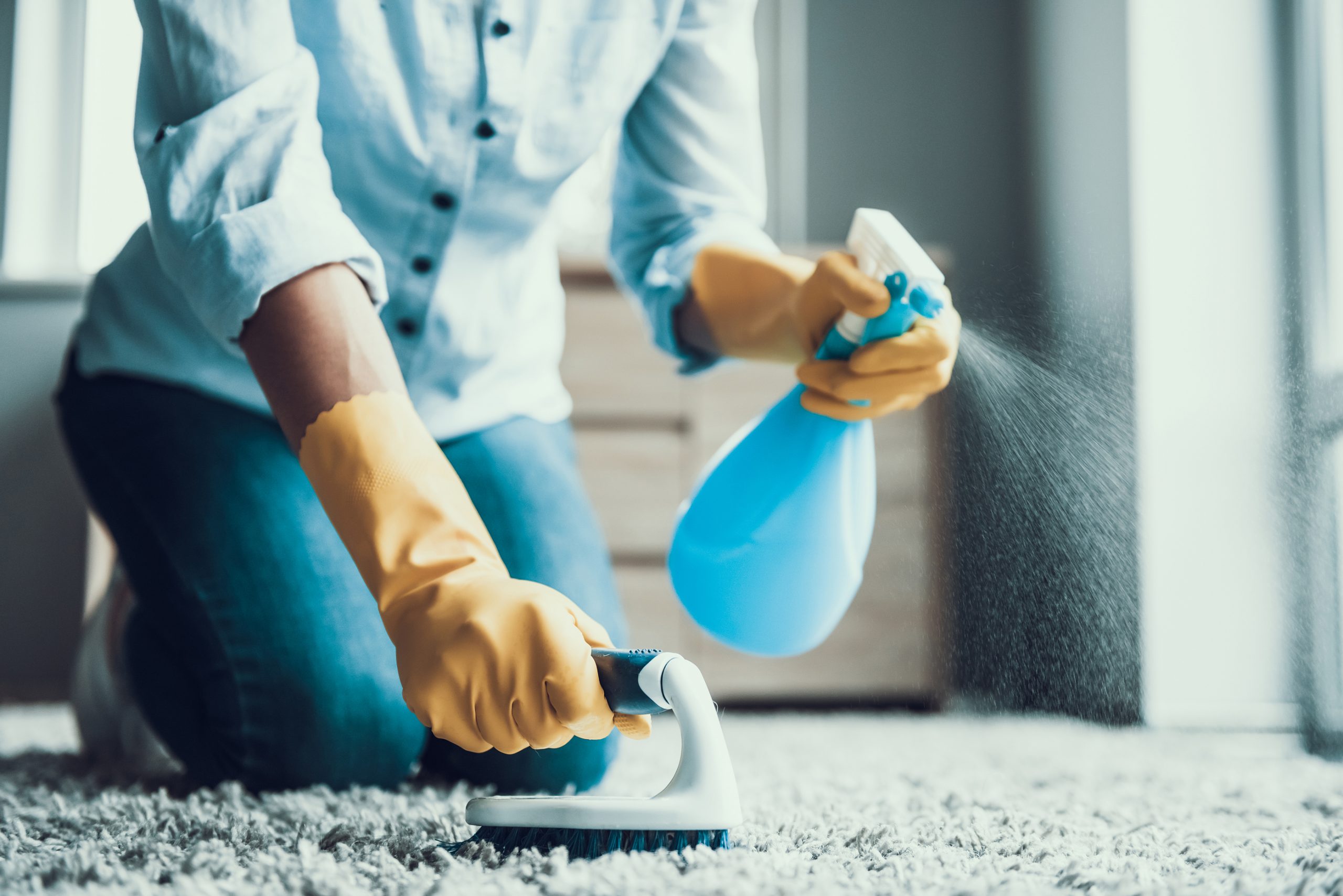Design features that simplify cleaning