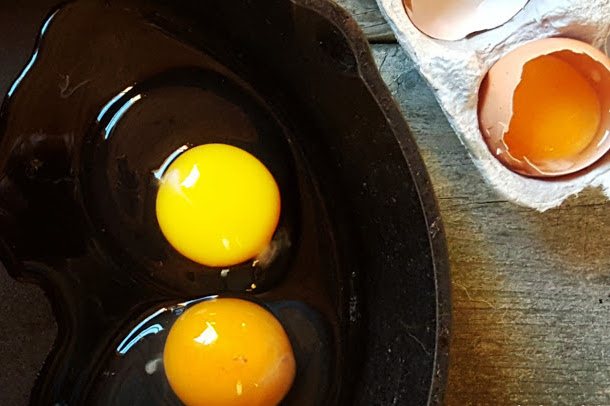 Selection of an Egg