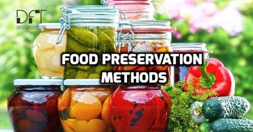 What Is The Purpose Of Food Preservation And Treatment In Our World