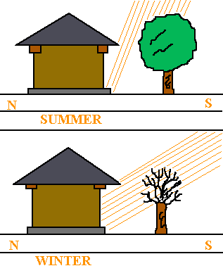 Global Green Initiatives 6 Green Hotel Tips - Plant Shade Tree South Facing Wall