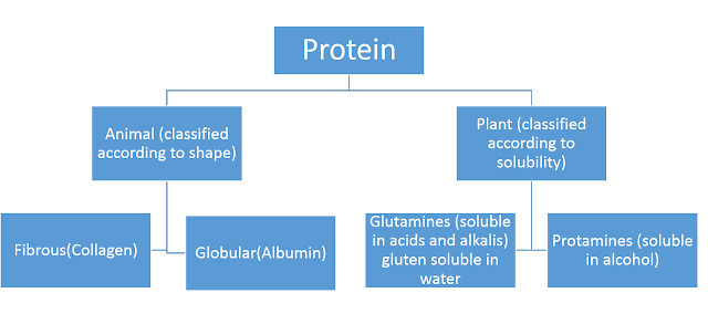 Macro Nutrients: Proteins 2 Macro Nutrients: Proteins 2