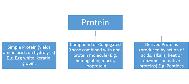 Macro Nutrients: Proteins 4 Macro Nutrients: Proteins 4