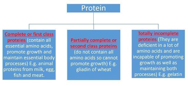 Macro Nutrients: Proteins 5 Macro Nutrients: Proteins 5