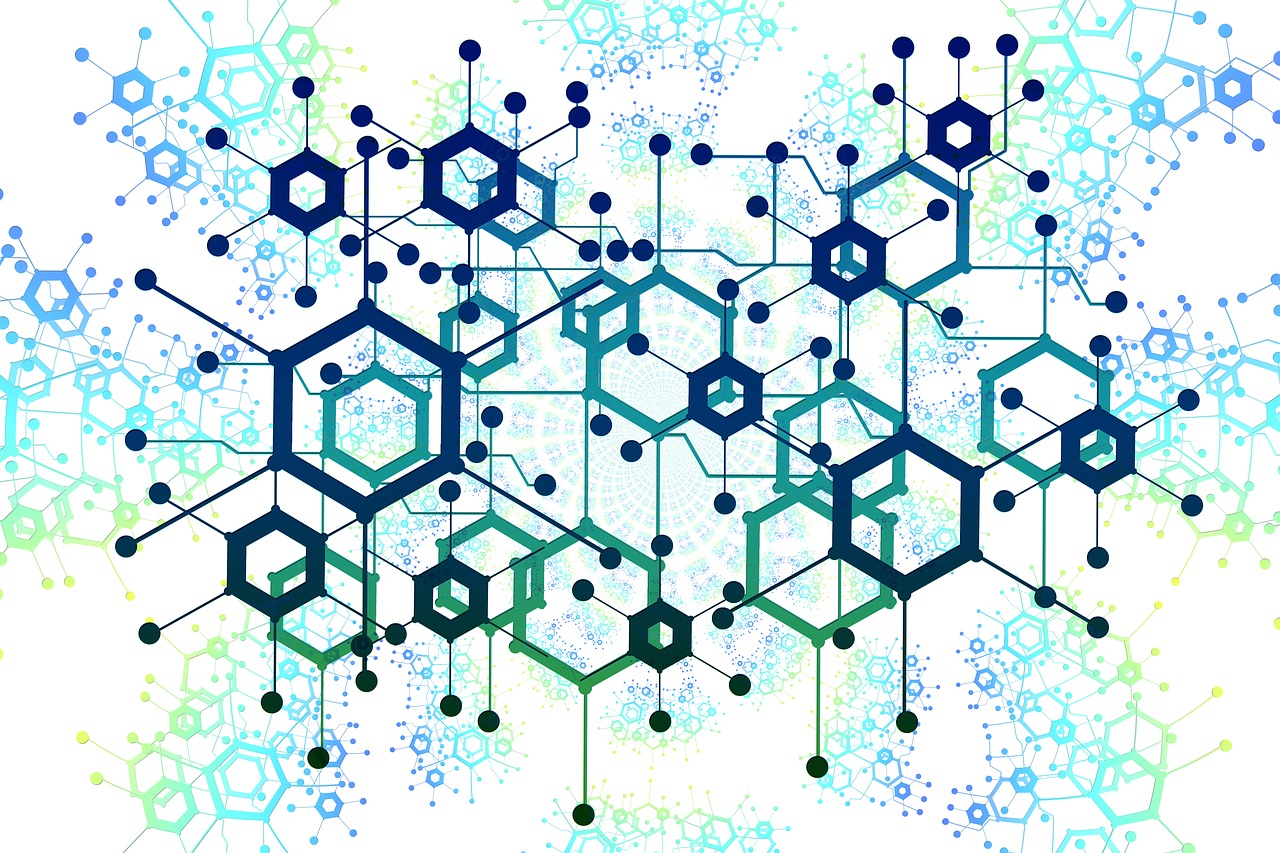 Management Information and Control Systems (MICS): Improving Efficiency in Hospitality