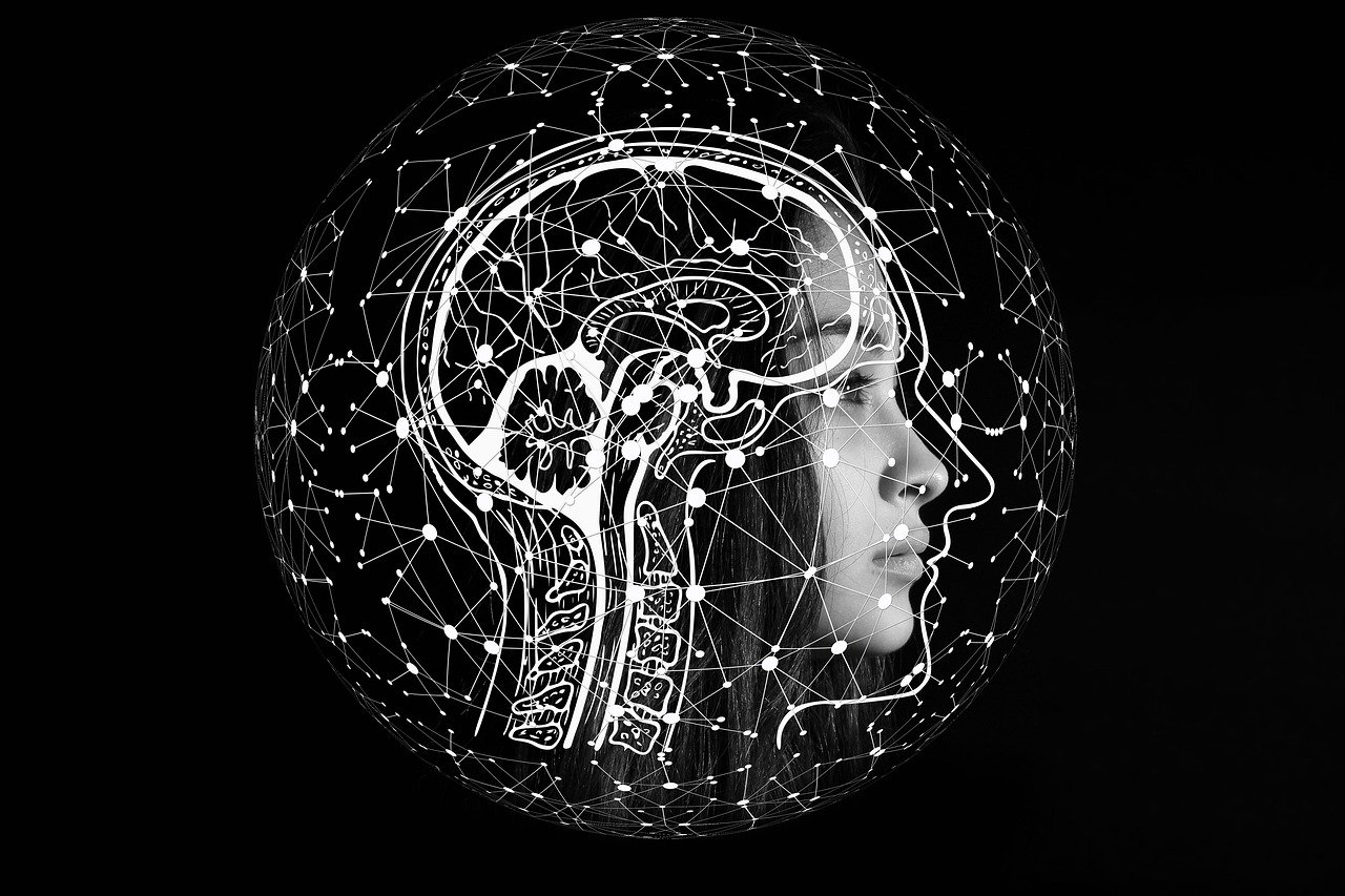 An MIS Perspective: Understanding Management Information Systems in Hospitality