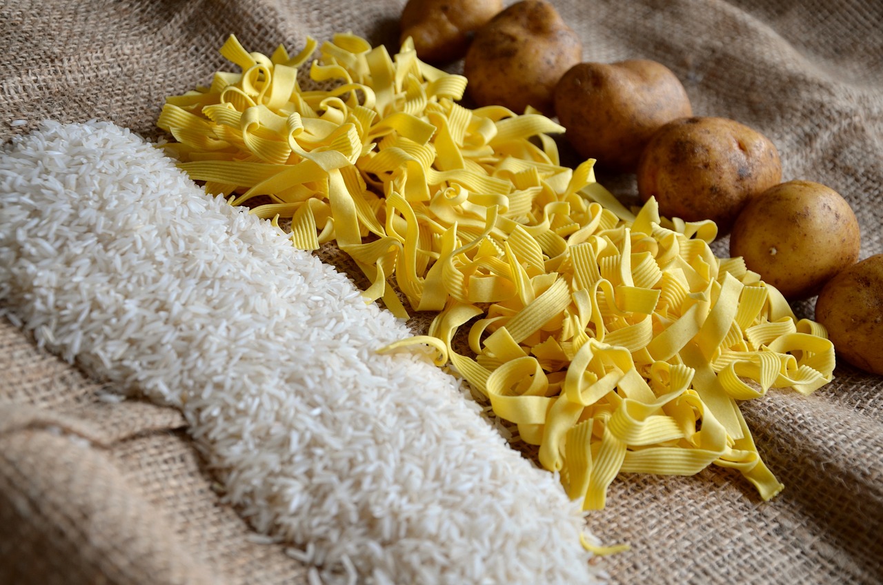 Introduction to Carbohydrates: Function & Types