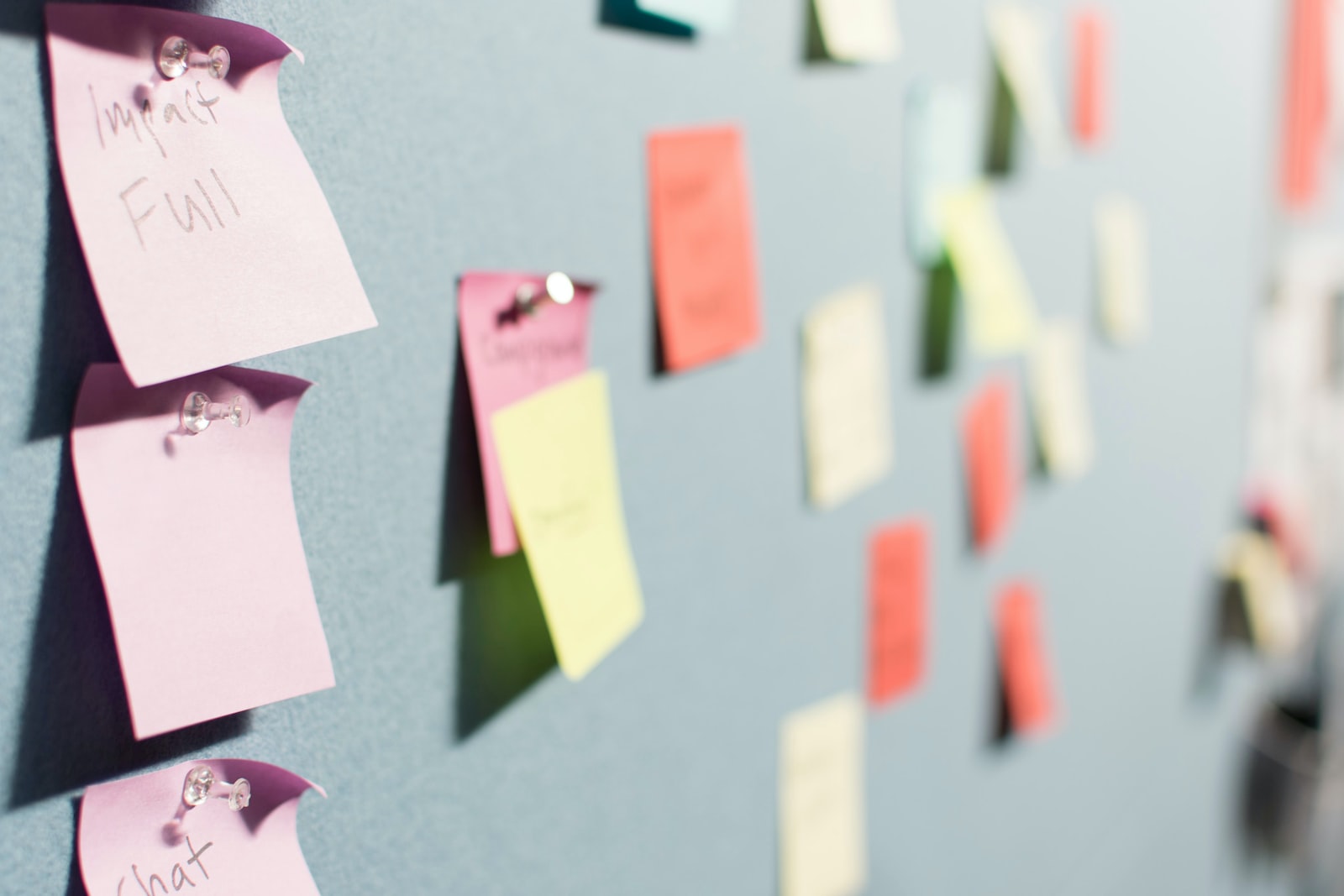 Management Systems and Processes: Strategies for Successful Management