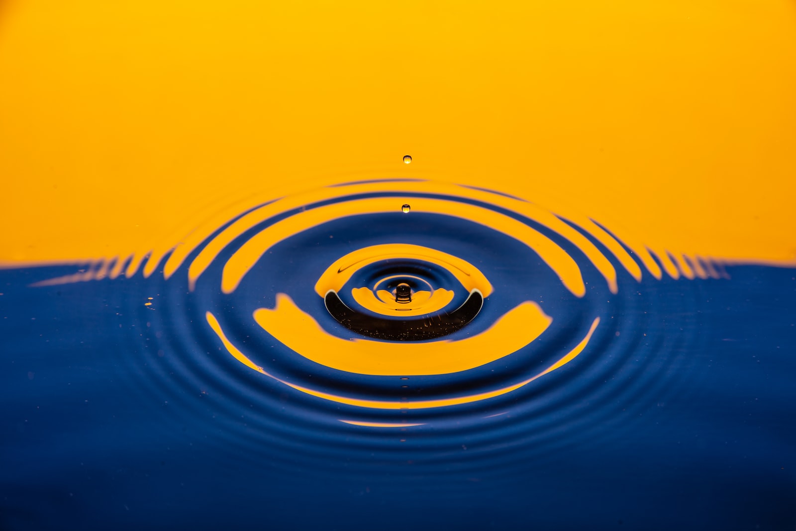 Introduction to Water Systems: Understanding Water Distribution, Softening, and Hot Water Supply in Hotels