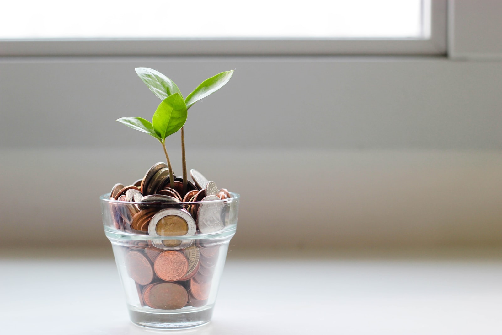 Pricing Strategies: Understanding How to Set the Right Price