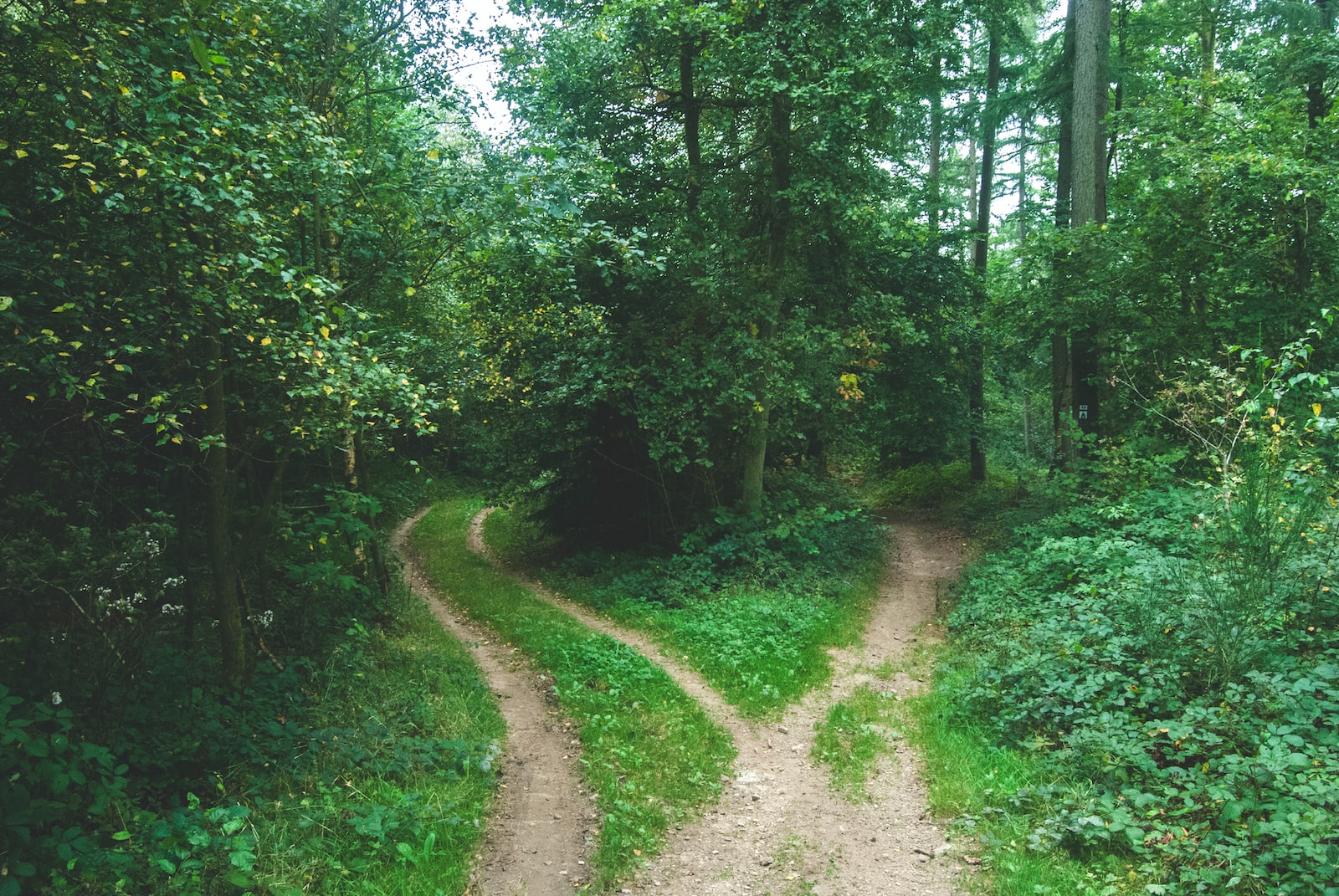 Managerial Economic Decisions Under Current Environment