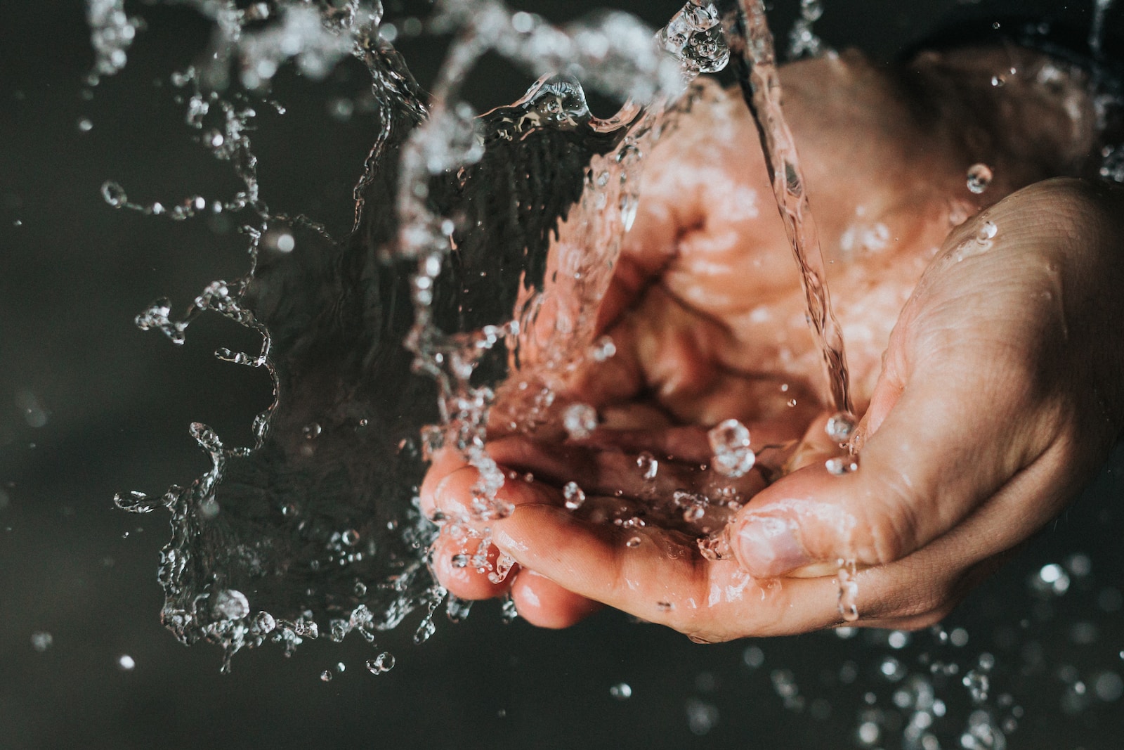 Hygiene and Sanitization in Food Sector