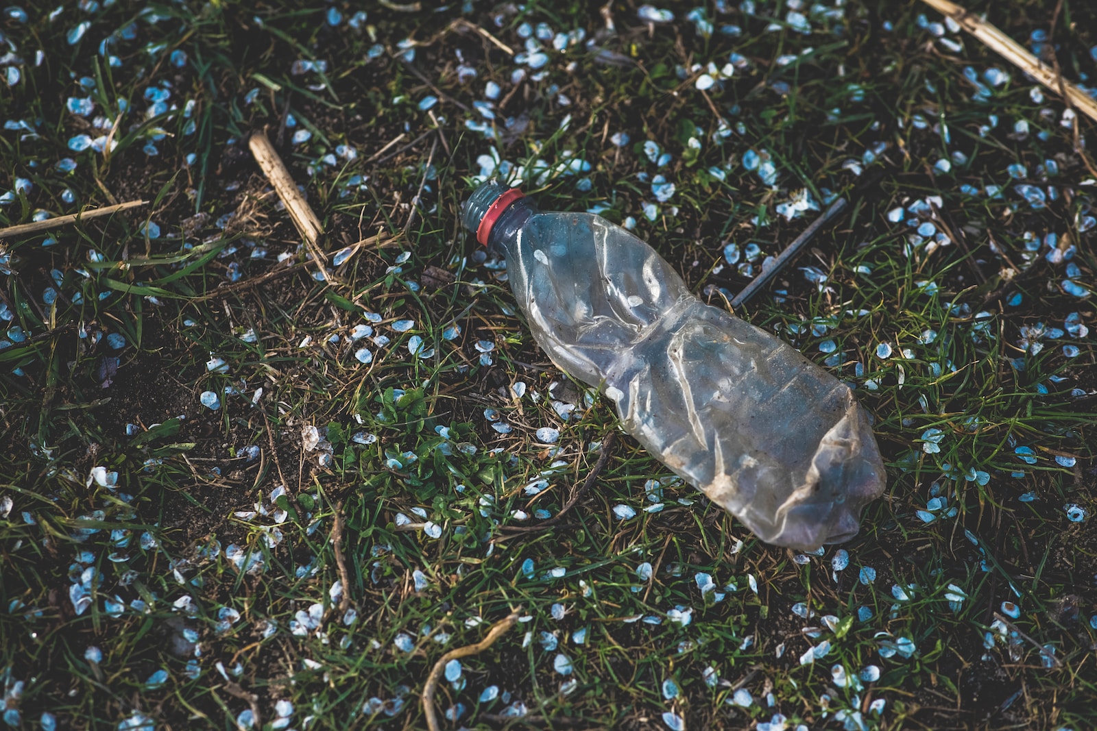 Waste Management