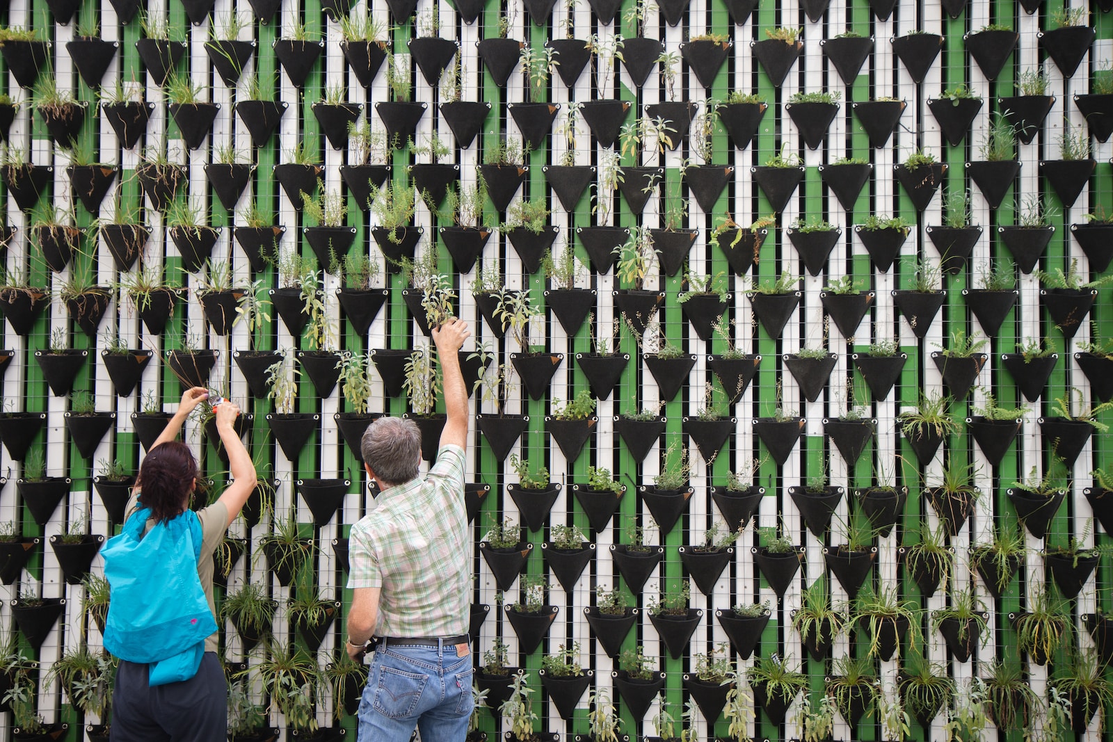Global Green Initiatives